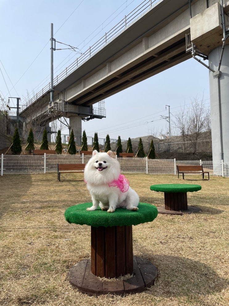  대구반려견놀이터 수성구 시지 무료식물원 생각을담는정원