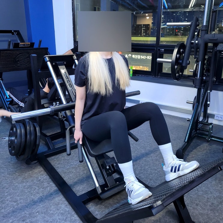  헬스장 PT 처음 해본 후기 개인PT 효과 비용 가격 식단 횟수