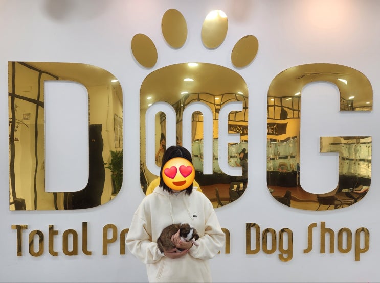  "특별한 인연을 만드는 곳, 원독 장모치와와분양"/세종시강아지 분양 / 세종시 애견샵샵