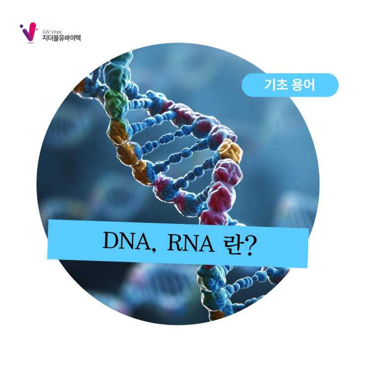 DNA, RNA 란?