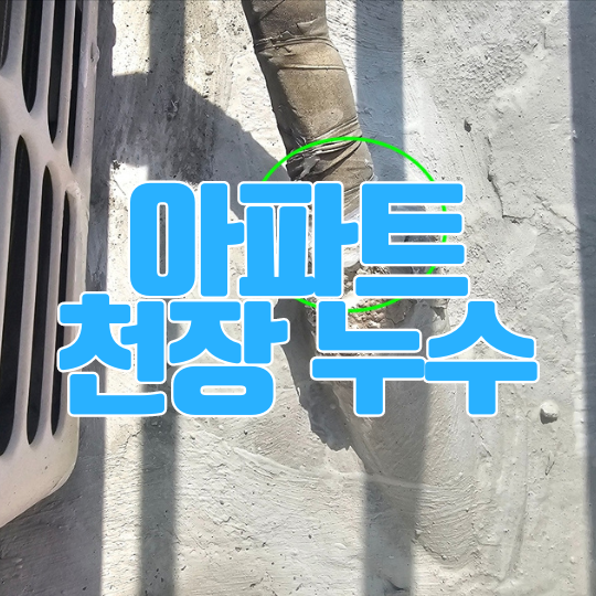 동탄 천장누수 - 반송동 아파트 안방 베란다 거실 천장벽지 곰팡이
