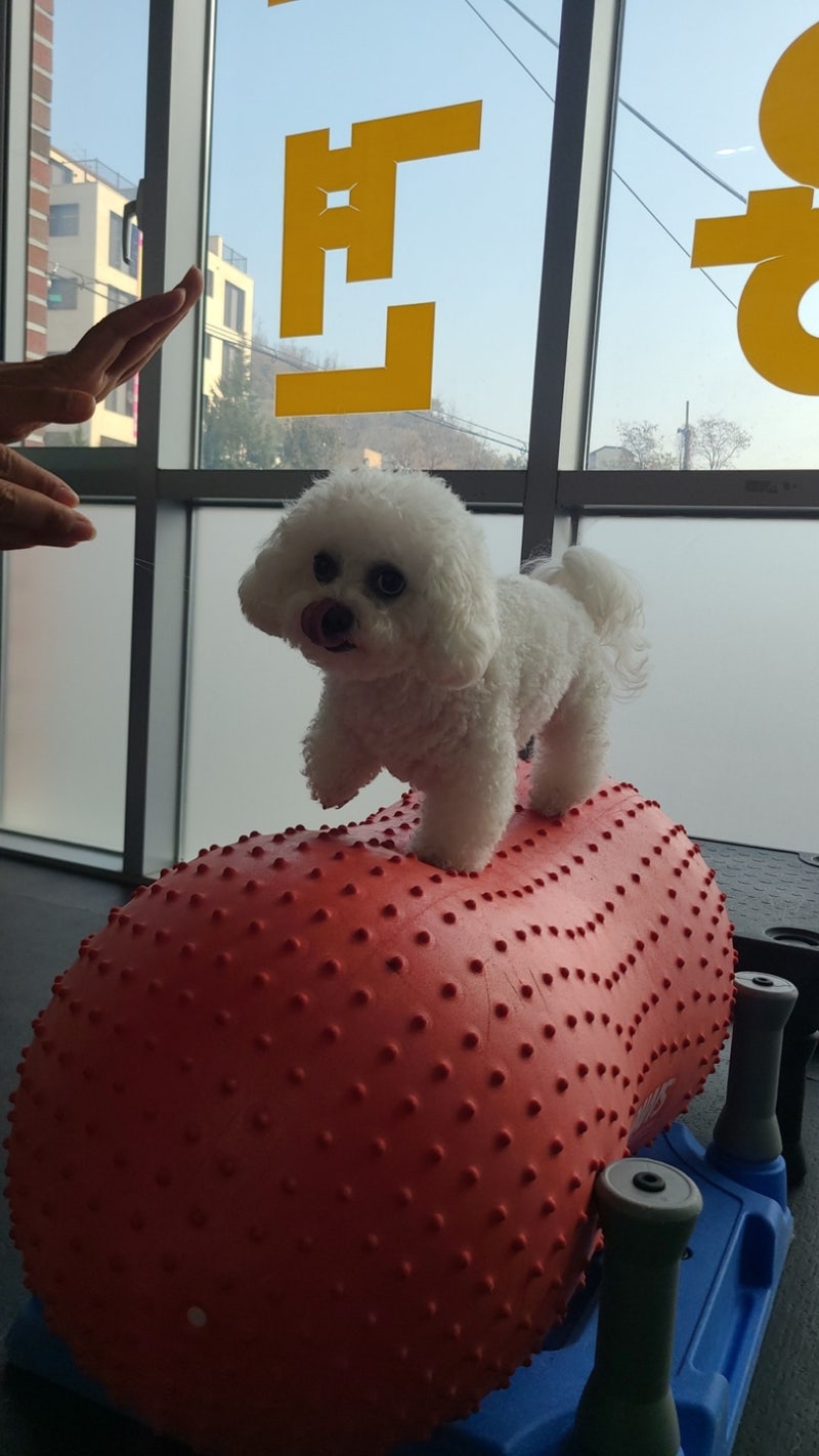 사진 8