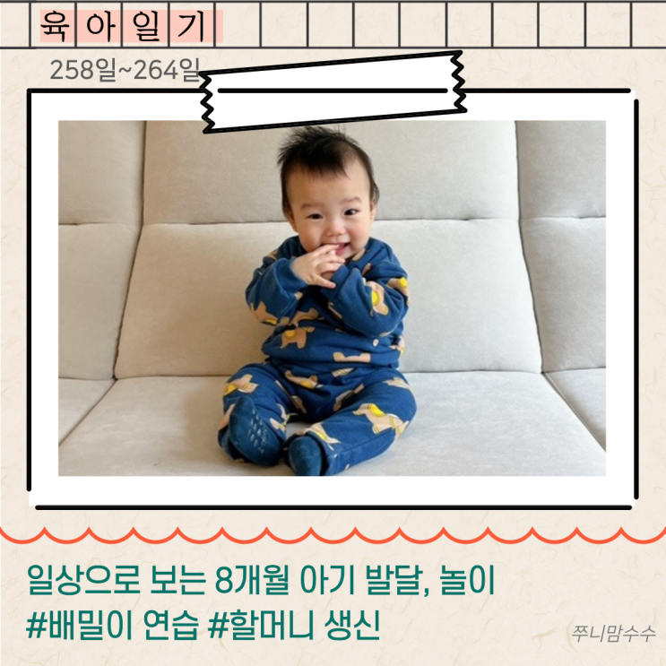  일상으로 보는 8개월 아기 발달, 놀이. #배밀이 연습 #할머니 생신