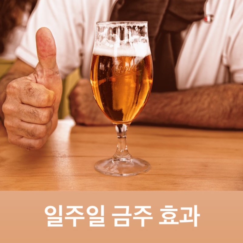 일주일 금주 효과 알려드립니다! 필독