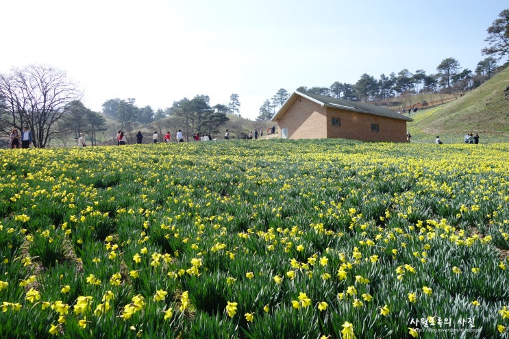 전남 <b>구례</b>군 여행 2. <b>구례</b> 지리산 치즈랜드. Mar. 23. 2024.