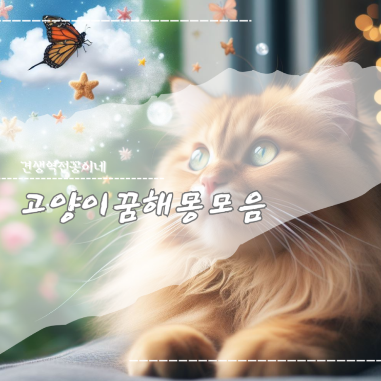  고양이 꿈 해몽 재미로 보는 꿈 풀이모음