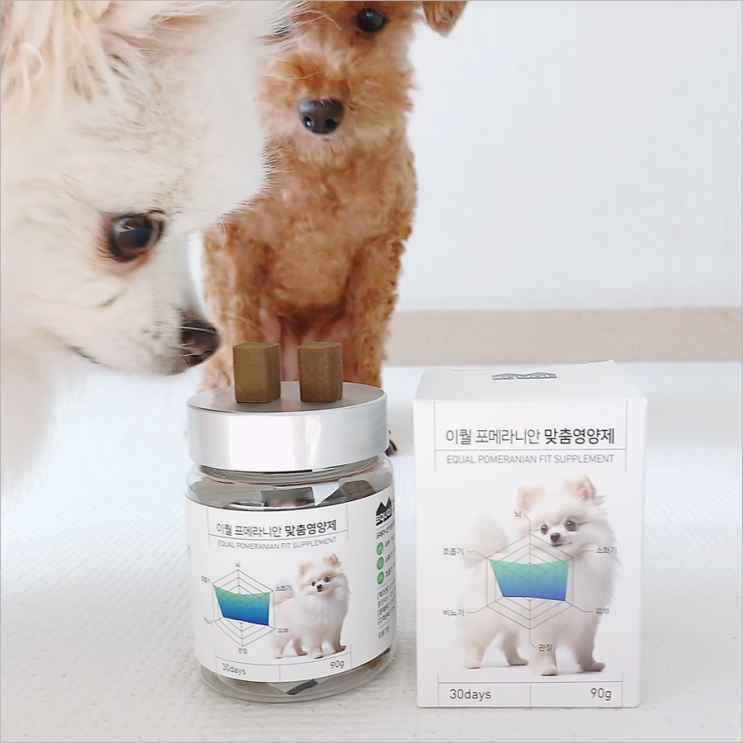  반려견영양제 이퀄 포메라니안 맞춤영양제 추천템 이거!