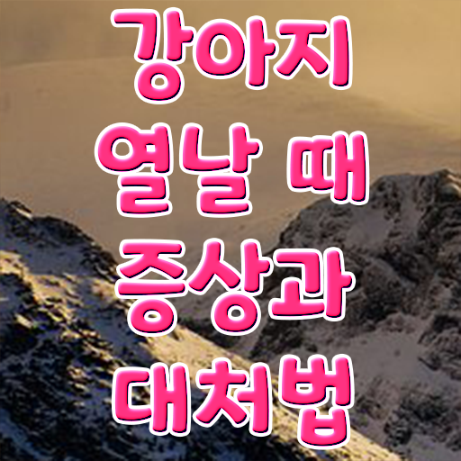  반려동물커뮤니티  반려동물관리사 합격 팁  필수 정보 쏙쏙