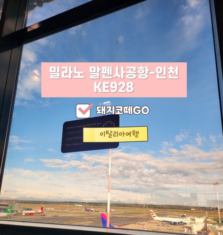  돼지코떼GO_밀라노에서 인천 KE928후기