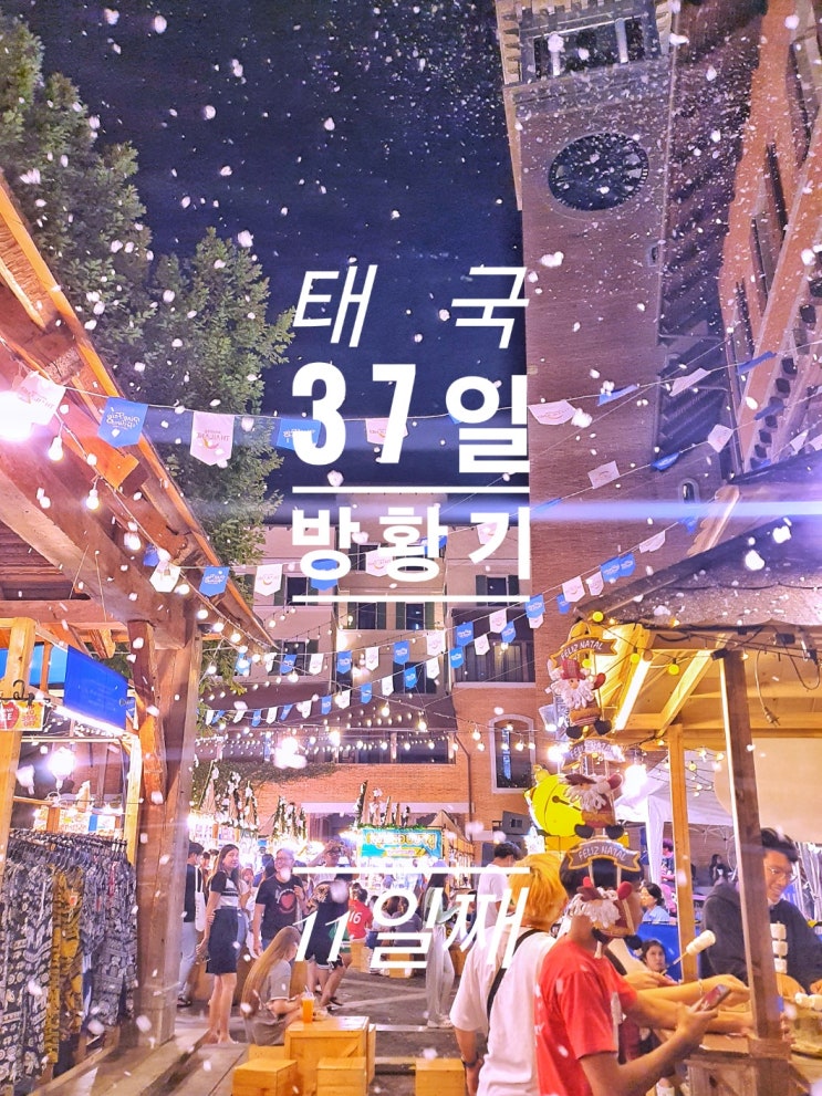  [태국 37일간의 방황기] 11일째 Huen Phone Kon john 왓 치앙만 by hand pizza Malin Plaza 치앙마이 정문 야시장 원님만 크리스마스