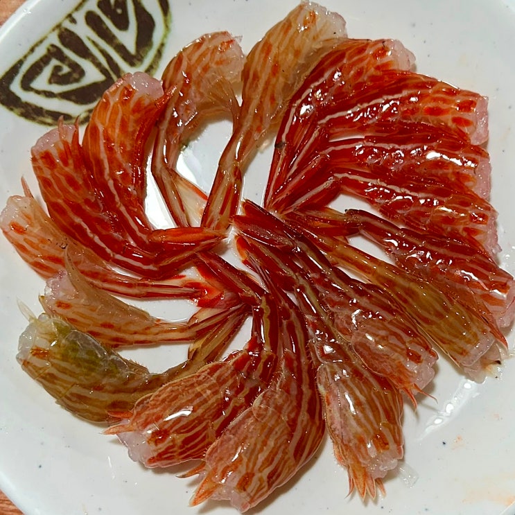  부산 남포동에서 맛보는 독도꽃새우, 꽃새우회와 머리튀김까지 !