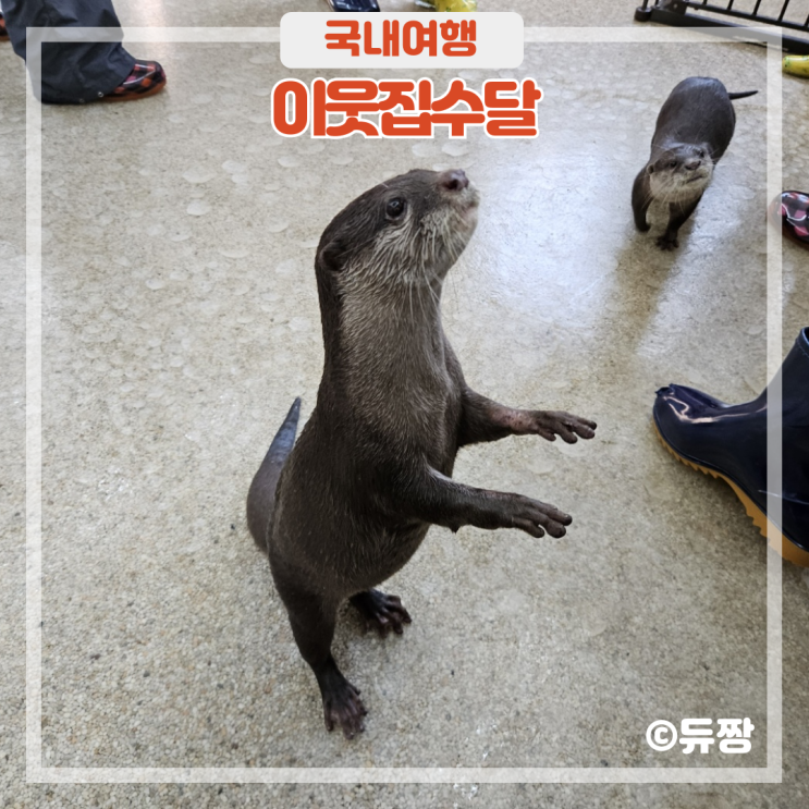  경산 놀거리 이웃집수달 대구 근교 데이트 코스로 추천