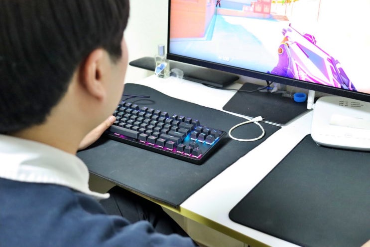 래피드 트리거 발로란트 키보드 스틸시리즈 Apex Pro TKL 추천