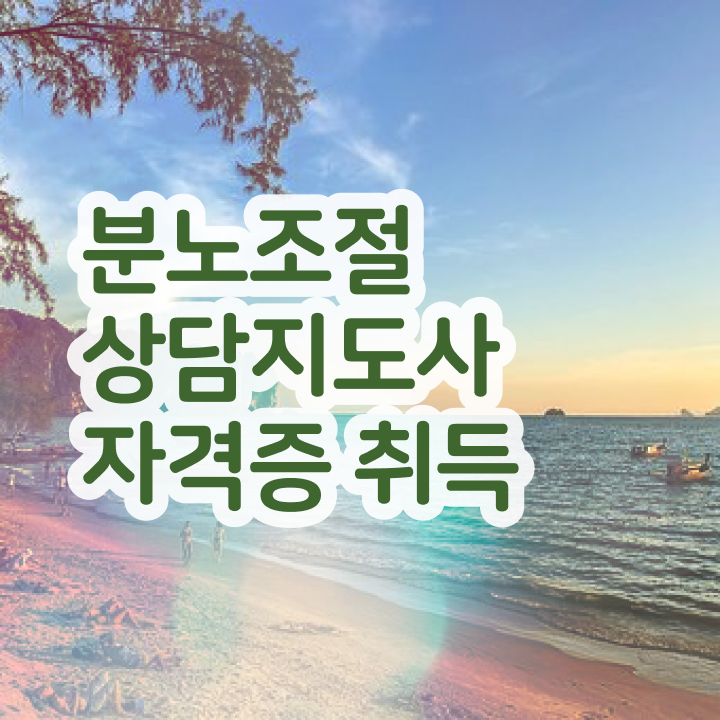  분노조절장애  분노 조절장애방법 분노조절상담지도사 핵심 요점정리  저처럼 해보세요