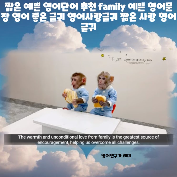 짧은 예쁜 영어단어 추천 family 예쁜 영어문장 영어 좋은 글귀 영어사랑글귀 짧은 사랑 영어글귀