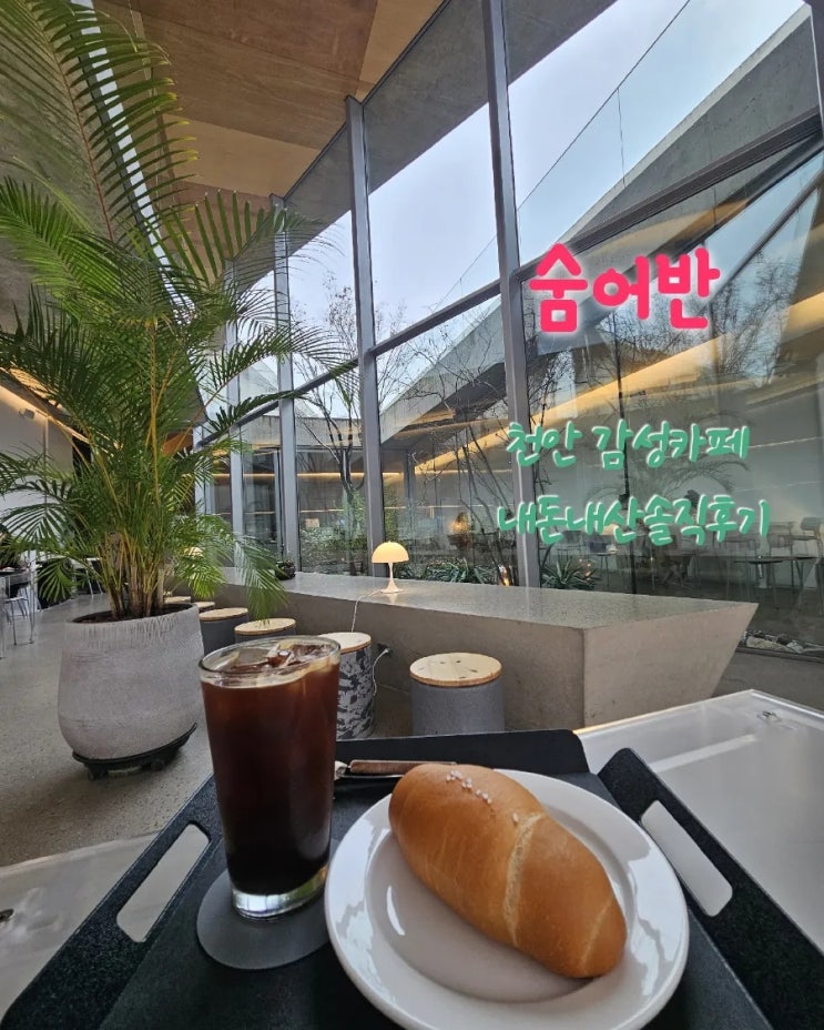  숨어반 충남천안 감성카페 내돈내산솔직후기