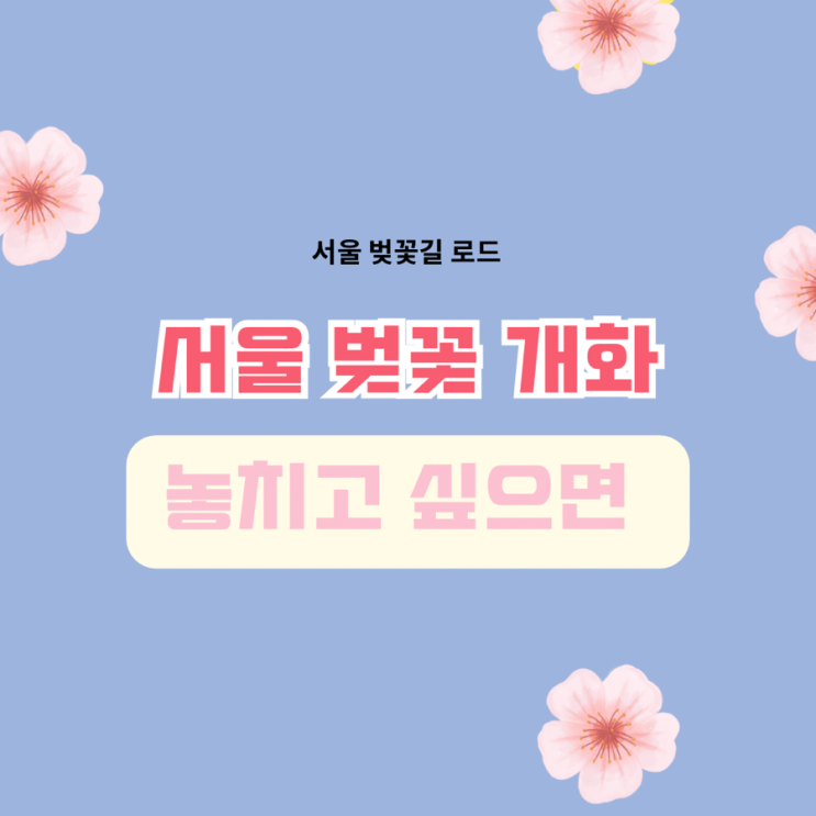 서울 벚꽃 개화 시기 놓치고 싶으면 절대 읽지 마세요