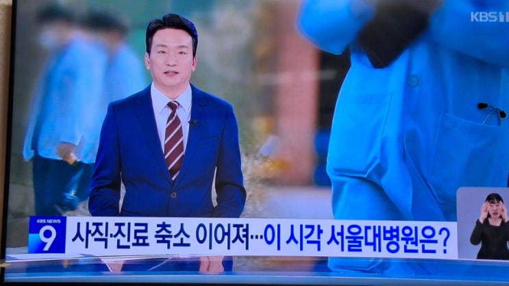  이틀째 <b>의대</b>교수 <b>사직</b>, 진료 축소…의협 새 회장 선출