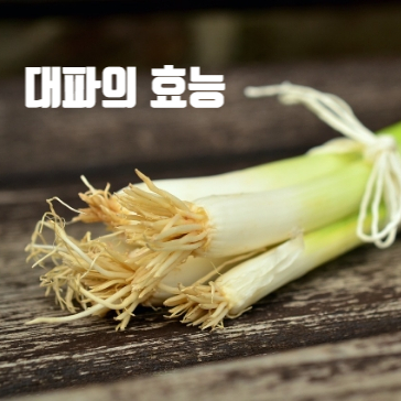  대파가 인기네! 대파의 효능, 대파 크림치즈 만들기