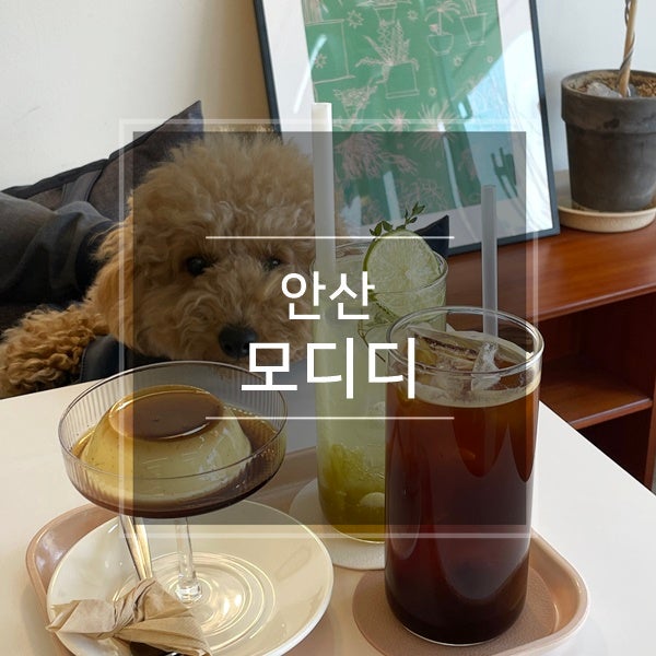  안산 애견동반 브런치 카페 선부동 모디디(mo-dd) 프렌치토스트와 커스타드푸딩