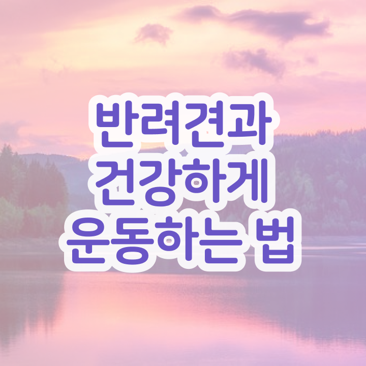  반려견운동지도사 공부  반려견운동지도사 취득 자격  알아볼게요