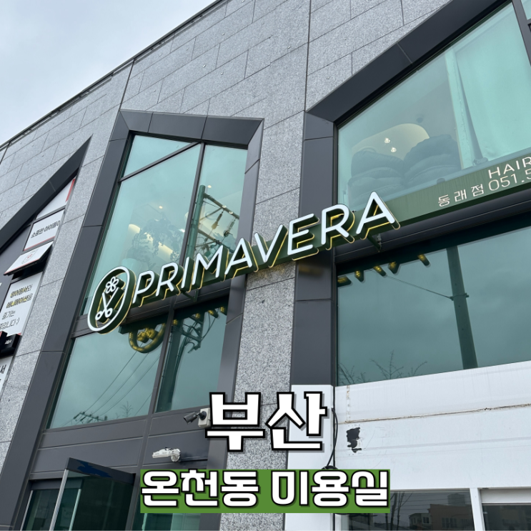  온천동 미용실 둥근얼굴 그레이스펌 잘하는 프리마베라 동래점