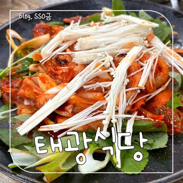  [제주도 탑동] 태광식당 : 제주공항 근처 한치 주물럭 도민 맛집 내돈내산 : 백종원 3대 천왕