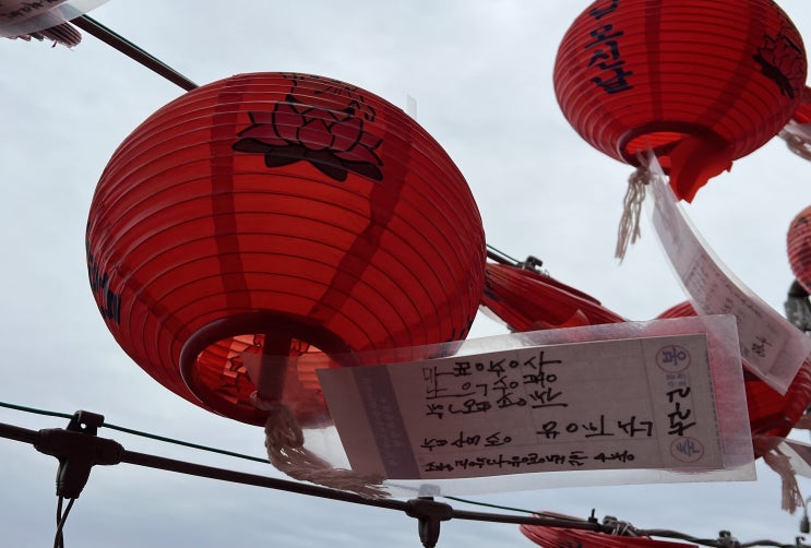 주총, 소액주주 표가 변수,,,<b>엔비디아</b>, <b>이틀</b> 연속 하락세