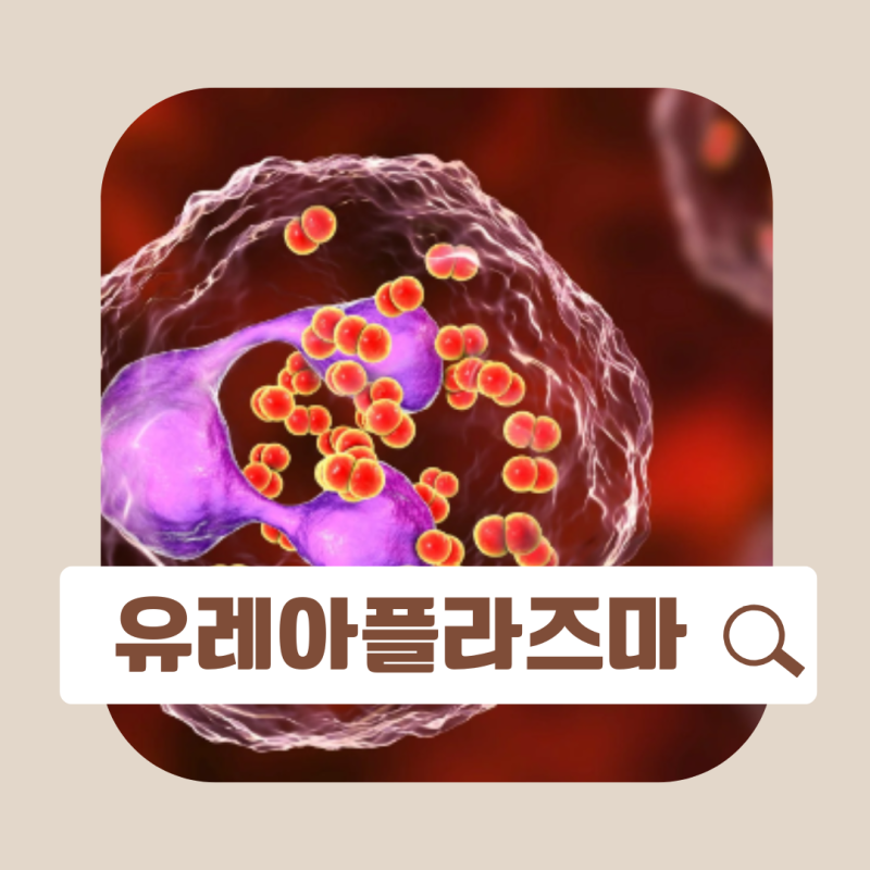 유레아플라즈마 파붐 성병 칸디다 가드넬라 증상 치료