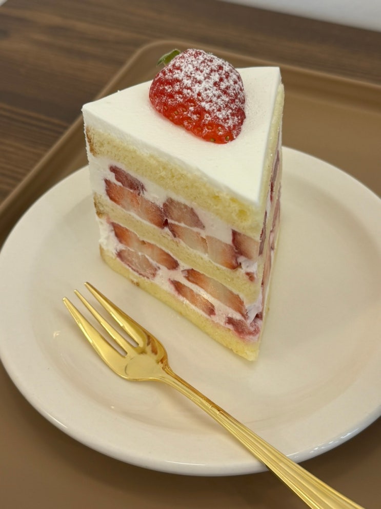  대구 칠성동 쌀 케이크 맛있는 카페 [하이다과점]