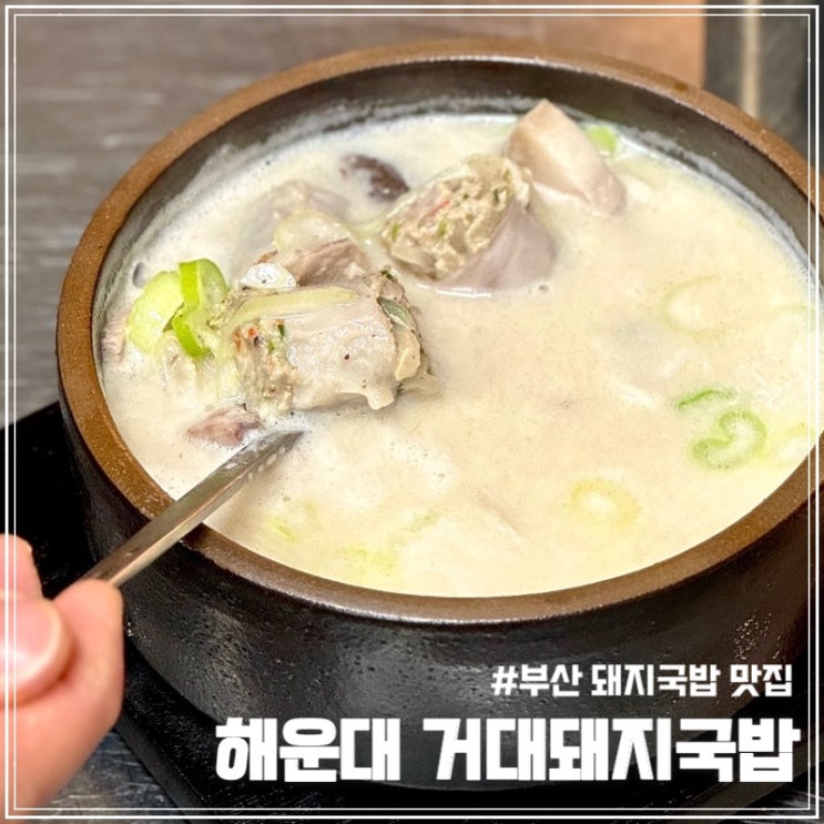 부산 해운대 현지인이 인정한 로컬 맛집 ‘거대돼지국밥’
