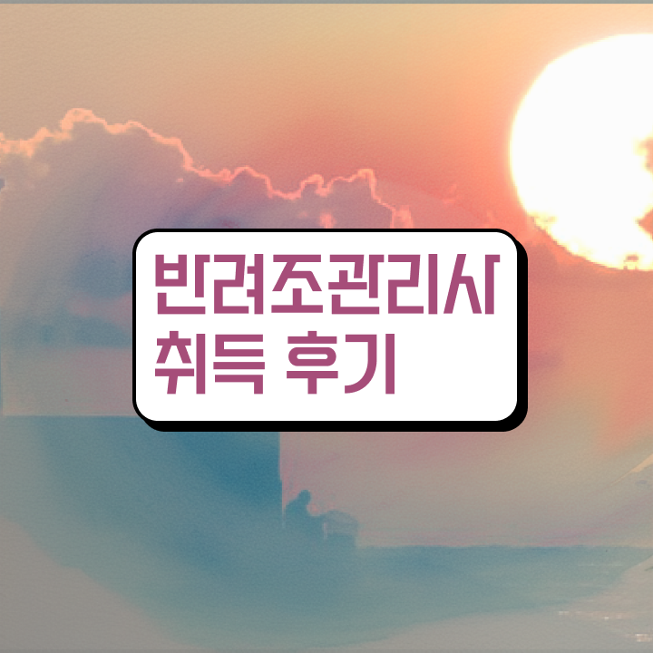  애완조분양  반려조관리사 온라인 무료강의  정보 이모저모