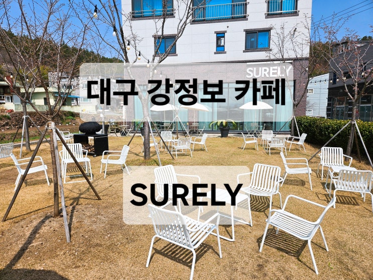  대구 강정보 카페 벚꽃이 피는 이쁜 야외 정원 반려동물동반가능 카페 SURELY