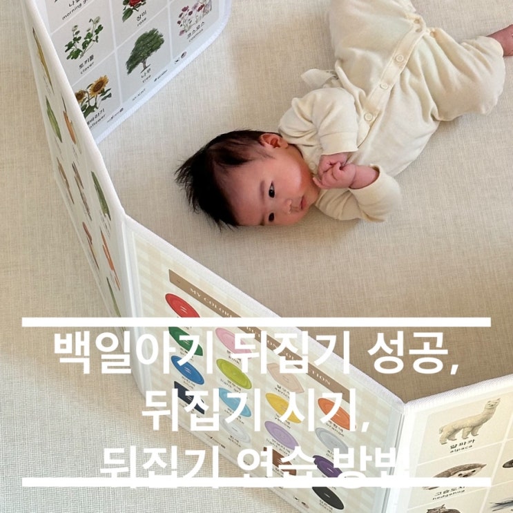  백일아기 : 뒤집기 성공, 뒤집기 시기, 뒤집기 연습 방법