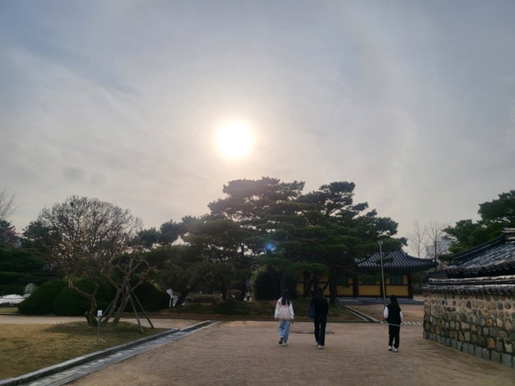  목동 학군 교육 블로그[다다맘]