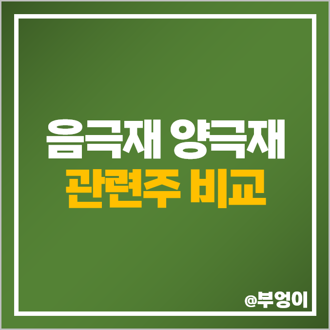 음극재 양극재 관련주 2차전지 대장주 엘앤에프 에코프로비엠 주가 음극재 양극재 관련주 2차전지 대장주 엘앤에프 에코프로비엠 주가