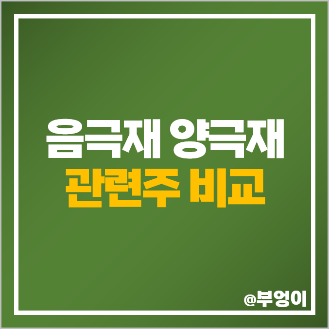 음극재 양극재 관련주 2차전지 대장주 엘앤에프 에코프로비엠 주가