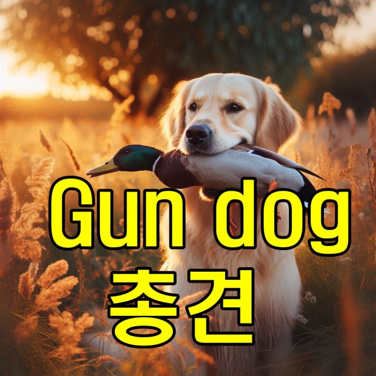  dog와 puppy 차이, 강아지(개) 직업 종류