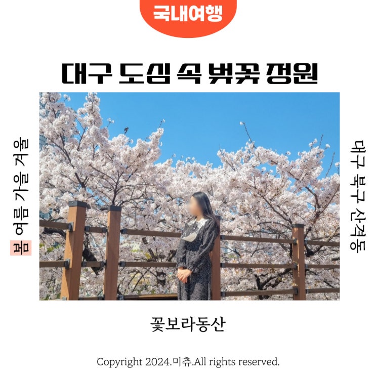  꽃보라동산 대구 북구 벚꽃 명소 포토존 무료주차장