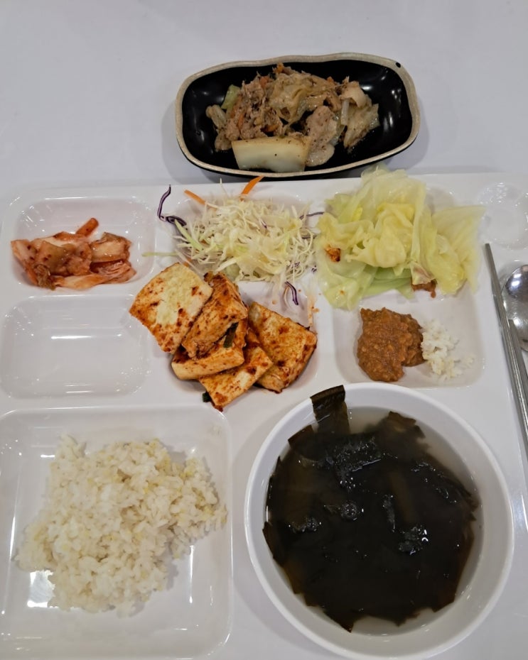 용산구청 구내식당 가성비 깔끔한 한 끼 용산구청 구내식당 가성비 깔끔한 한 끼