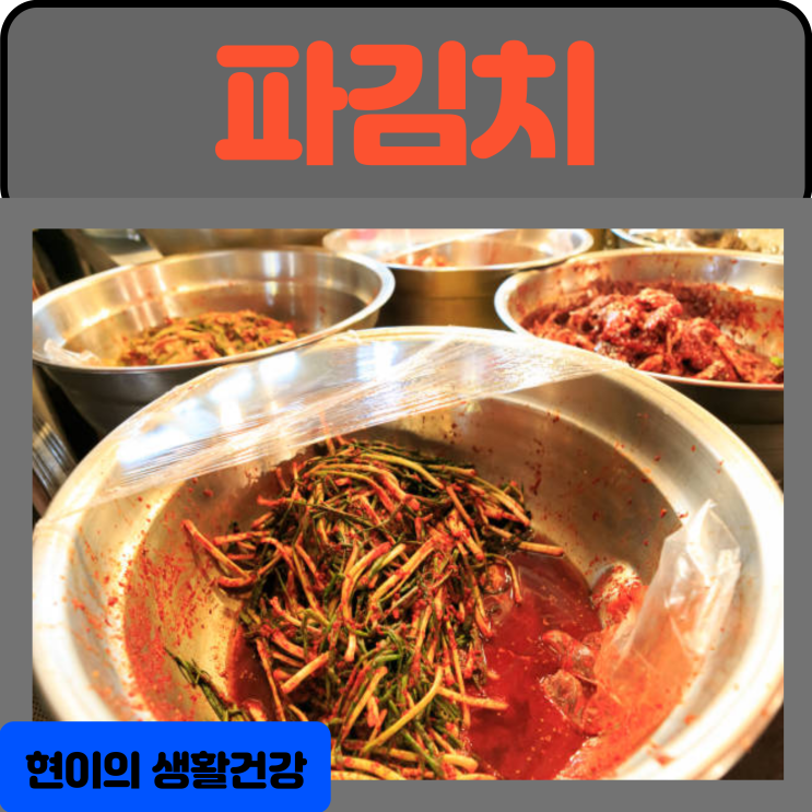  파김치의 효능 부작용 칼로리