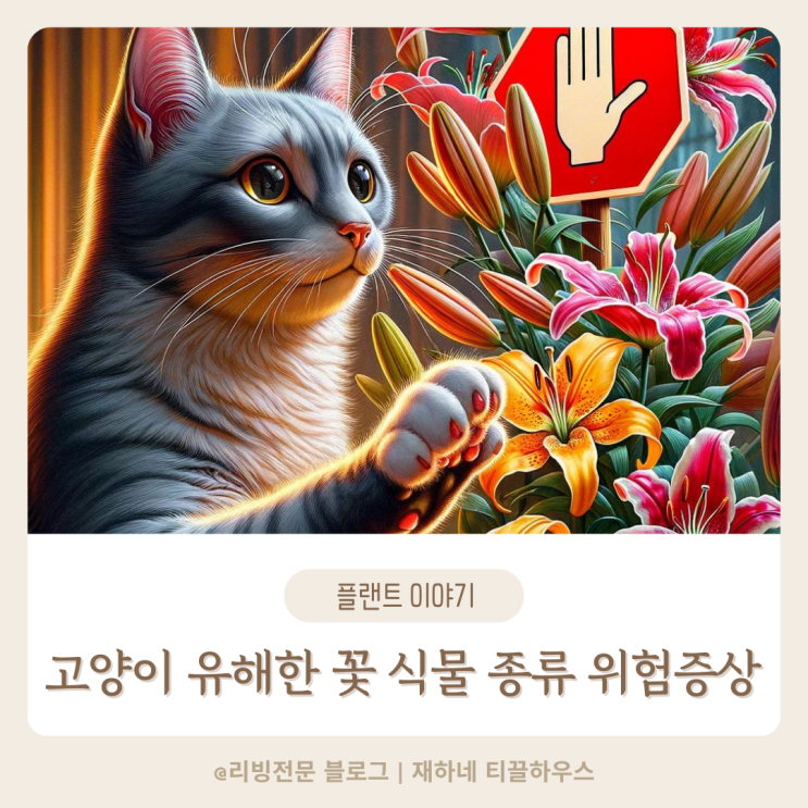  고양이 유해한 꽃 위험한 꽃 식물 종류