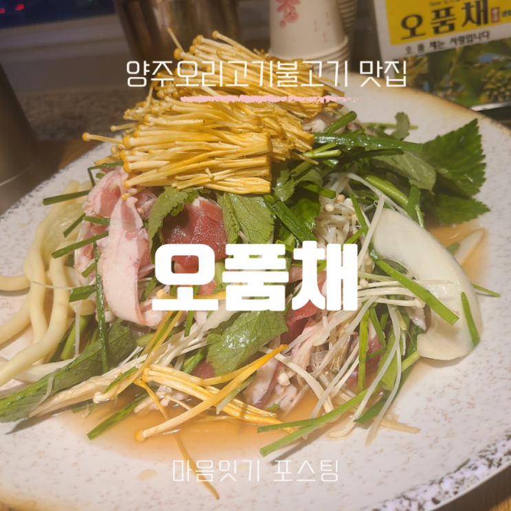  [양주오리고기맛집] 오품채