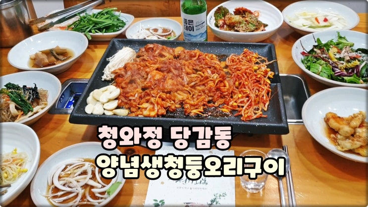 부산상견례는 청와정 부산진구 당감동맛집 양념생오리구이 먹방