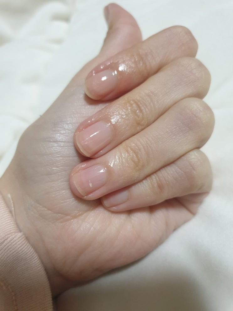  천연성분으로 손톱관리하는 네클 큐티클오일
