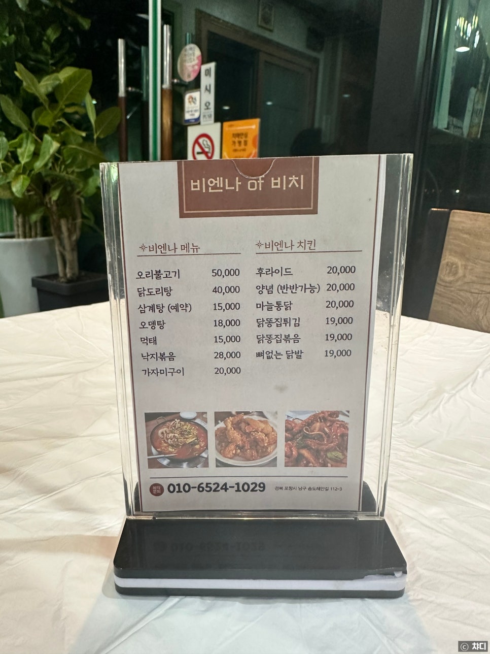 비엔나오브비치 사진 4