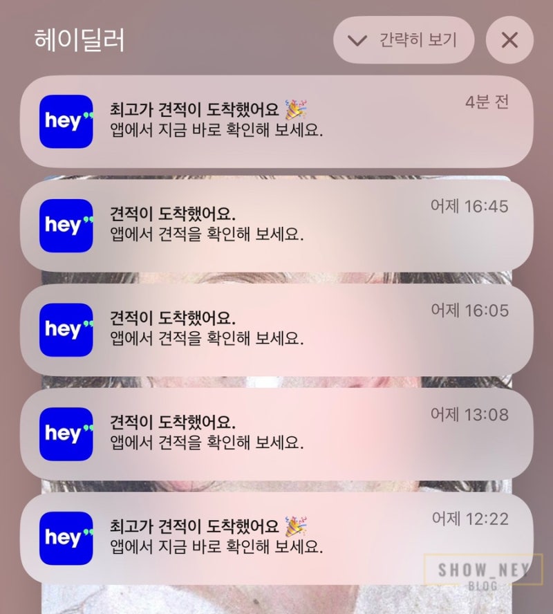 [후기] 헤이딜러 제로 차량 판매 후기! (입찰~탁송) +본인서명사실확인서 가능!