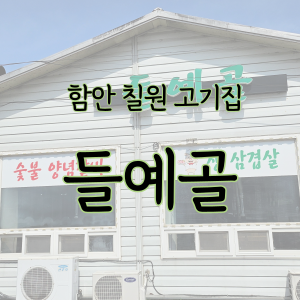 함안에 단짠한 돼지 갈비가 맛있는 들예골 - feat 함안 칠원 갈비