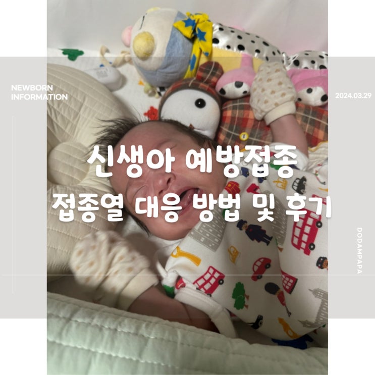 신생아 예방접종 접종열 대응 방법 및 후기 신생아 예방접종 접종열 대응 방법 및 후기