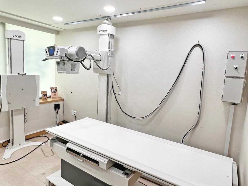The diagnosis and non-surgical treatment of scoliosis? — 본문 그림